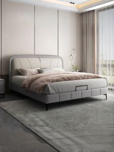 Airland | Modern Luxury Soft Back Anti-Stain Leather Bed