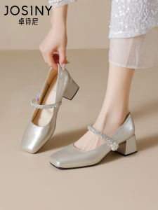 Josiny | New Fall Beautiful with Dresses Pumps