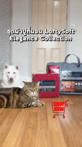 LOFTYSOFT ชุดผ้าปูที่นอน 6ฟุต KING 5ฟุต QUEEN 3.5ฟุต SINGLE Cotton Silk 550เส้นด้าย Elegance Collection - Scarlet