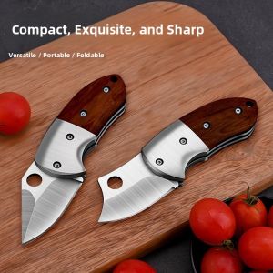 CMGF | Foldable Portable Fruit Knife