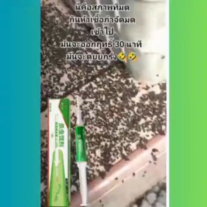 MQQHOMEE ANT BAIT กำจัดมด เจลกำจัดมด เหยื่อกำจัดมด เหยื่อมด เหยื่อล่อมด เจลมด เหยื่อฆ่ามด ยาฆ่ามด