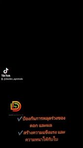 แมมมอท โฟลิไซม์ จีเอ ปุ๋ย ชนิดน้ำ สูตร 0-17-5 ปุ๋ย ฮอร์โมนพืช (ขั้วเหนียวแข็งแรง ลดหลุดร่วง ขยายท่อน้ำท่ออาหาร)เทพวัฒนา ตราปลาคู่