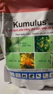 thuốc trừ bệnh trừ sâu KUMULUS 80WG:  trừ bệnh phấn trắng ghẻ sẹo  nấm cóc nấm sung trên hoa cúc trừ nhện đỏ nhện gié (gói 1kg)
