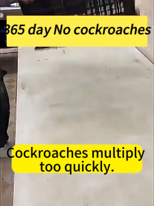 Ant Killer 8pcs Effectively Kills The Entire Ant Colony Termite Killer Ant Gel Bait Suitable For Various Ants Imported from Japan