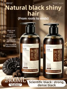 Lucenbase | Oil Control Volumizing Anti-dandruff Smooth Shampoo