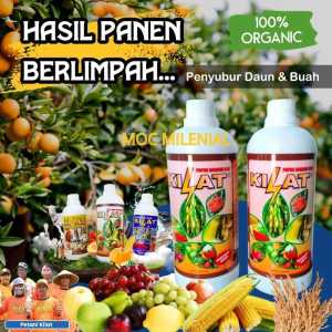 POC Pupuk Kilat Mengandung Hormon tumbuhan dengan extrak