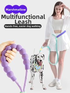 VOA | Shock Absorbing Dog Leash for All Sizes