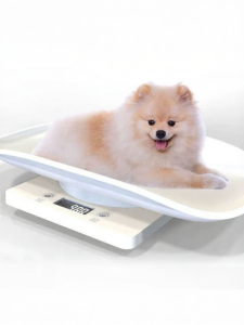Weichen | Pet Weight Scale