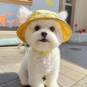 Petone dOrage | Cute Ear-exposing Pet Summer Sun Hat