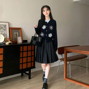 CHANGTONG | Lazy Style Fashion Knit and Skirt Set