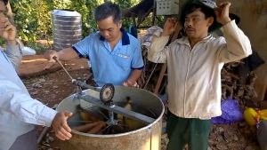 Mật ong hoa cà phê Tây Nguyên - Chai 1 lít