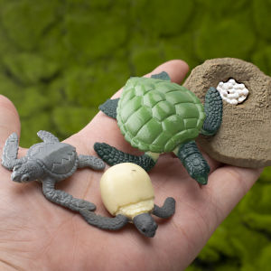 Plastic Sea Turtle Growth Model Educational Cognitive Toys for Children Static Desktop Ornaments Realistic Animal Dolls