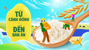 Gạo ST25 ngon Aan túi 5kg - Bao bì thiết kế mới  - Chính hãng Gạo sạch Aan