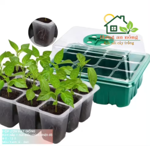 bộ 2 khay ươm hạt giống 6/12 ô có nắp trong suốt điều chỉnh thông khí giữ ẩm giúp nảy mầm nhanh