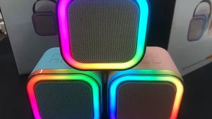 ลำโพงบลูทูธ ลำโพงบลูทูธช่วยสอน Bluetooth Karaoke Speake ไมโครโฟนคู่ ลำโพงร้องคาราโอเกะ แสงไฟสีรุ้งสวย