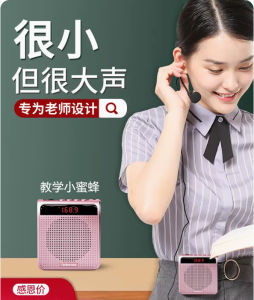 乐廷小蜜蜂扩音器教师专用老师上课大音量无线麦克风导游喇叭蓝牙 Rolton K100(wireless)Voice Amplifier Microphone Bluetooth 5.0 Speaker FM Radio SD Card MP3