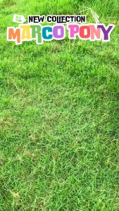 Marco Pony กระเป๋าสะพายข้างผู้หญิง กระเป๋าถือ วัสดุEVA แบบกันน้ำ ดีไซน์ระบายอากาศ ความจุสูง เหมาะสำหรับการช้อปปิ้งBP1005