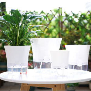 กระถางต้นไม้พืชจิ๋วไร้ดินพลาสติกใสสำหรับตกแต่งบ้านกระถางต้นไม้สีเขียวไร้ดินสำหรับแจกันประดับบ้าน