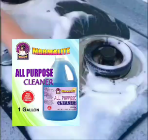 ALL PURPOSE CLEANING SOLUTION 3.2L GALLON WTIH DEGREASER