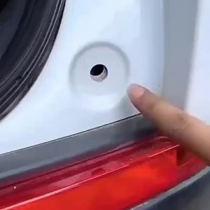 50Pcs Plastic Rivet Fasteners Screws Car Fender Screws Bumper Snap Rivets Car Accessories Trunk Plastic Expansion Screws