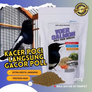 voer salmon dengan kandungan tinggi protein percepat gacor spesial kacer poci anis cocak ijo dll