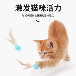 Cat Toy Elastic Ball Self Entertaining Chew Resistant Teeth Grinding Stick Attracting Cat Essential Supplies Pet Rubber Ball