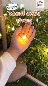 ไฟเชอรี่ ไฟปิงปอง ประดับสวน ไฟประดับ ไฟตกแต่ง แค้มป์ปิ้ง ไฟ LED USB และใส่ถ่าน ไฟแต่งห้อง ของแต่งบ้าน แต่งบ้าน ไฟประดับเ