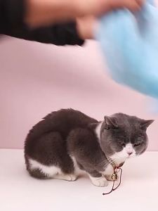 ถุงอาบน้ำแมว อเนกประสงค์ ป้องกันการกัด ป้องกันรอยขีดข่วน พร้อมส่ง