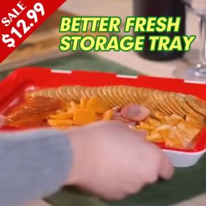 VACUUM TRAY / WRAPPING FOOD TRAY / NAMPAN KULKAS PRAKTIS