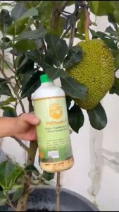 PRObuah Pupuk Organik Pelebat Buah Tanaman Subur Berbuah Banyak
