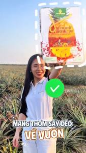 Thơm (Dứa/ Khóm) Sấy Dẻo Muối Ớt NONGLAMFOOD Vị Chua Ngọt Tự Nhiên Trái Cây Sấy Hoa Quả Sấy Túi 100g