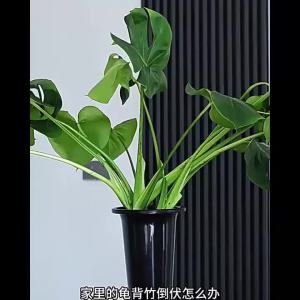 Monstera Shaped Plant Support Easy Installation Decorative Plant Stand Leaf Shape Plants Pole Sturdy Alloy Support Pile Garden