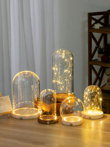 Eternal Flower Glass Dome LED Lighted Independent Side Switch Phoenix Crown Model Display Box Collectible Toy Block Support Customization