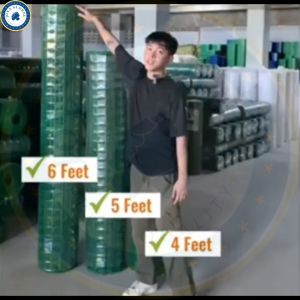 PVC Coated Chicken Metal Welded Wire Mesh Fence & Gree Hardware Cloth: A Comprehensive Guide