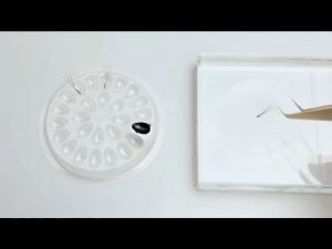 Glue Holder/ tempat untuk lem eyelash