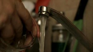 Sabun Ekonomi Cuci Piring 120ml Jeruk Nipis Beli 2 Gratis 1 Wings Care Termurah