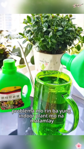 Plant Nutrient Solution Hydroponic Growth Enhancer Liquid Fertilizer for Flower Vegetable Plant