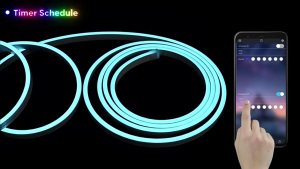 ⭐🇸🇬 READY STOCK 5M/10M RGB Neon Strip Light for Ceiling Strip Light Waterproof Silicone Light DIY LED Light Bluetooth Remote