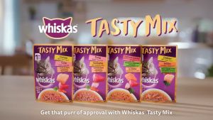 Whiskas Tasty Mix TastyMix Kitten Junior Adult Gravy Cat Pouch Wet Food 70G