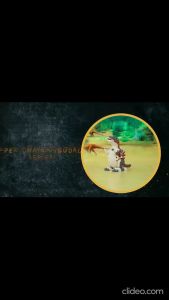 Mainan Anak Laki Laki Wind Up Dinosaurus Series Dino Bisa Berjalan Belofty Toys
