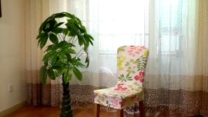 Chair Cover with Skirt Dining Stretchable Universal Chair Seat Cover Antifouling Seat Cushion Home Protector Anti-Dirty Decor Cover