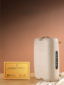 Mini Foldable Home Use Baby Clothes Dryer Sanitizer Quick Dry Machine Portable Laundry Appliance with Touch Control And PTC Heating