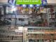 FBS PAINTS SHOP 