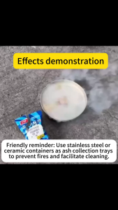 BUY2 TAKE2 Insect Repellet Japan Smoke Repller Smoke Bomb Insect Killer Cockroaches Mosquitoes Flies Lice Fleas Mice Spiders and Other Insect Killers Strong Household Indoor Safe and Harmless Smoke Insecticide fly killer