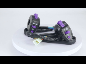 Motorcycle Handlebar Switch Set for RUSI 125 Multicolor Turn Signal Horn Light Control Switch