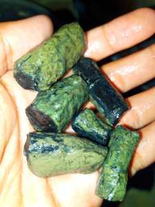 kalimaya banten ukuran sedang isi 8 pics bahan kualitas grade A bagus padat dan keras