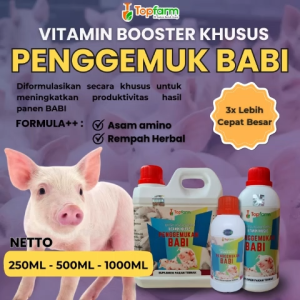 Vitamin Booster Khusus Budidaya Penggemuk Babi