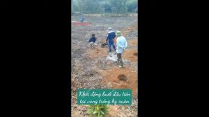 Máy khoan hố trồng trụ rào 2 tay ga 2 người sử dụng Oshima 2ps