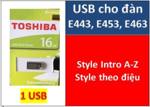 USB mini Sample đàn organ - style cho đàn organ E443 E453 E463