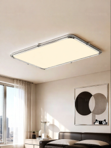 FANCY LAMP CLUB | New Eye-protective Minimalist Living Room Ceiling Light
